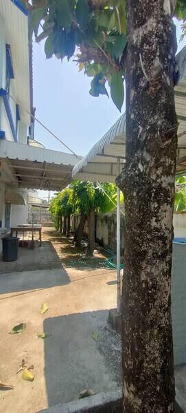 Exterior view with covered parking area, trees, and pathway