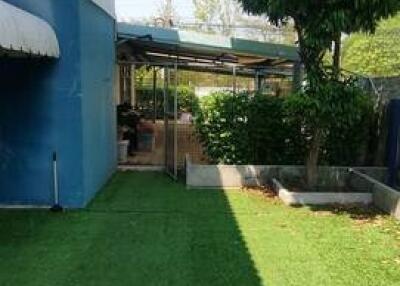 Backyard view with a garden and trees