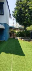 Backyard view with a garden and trees