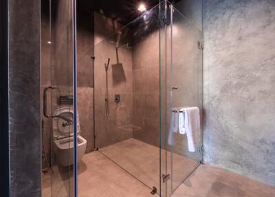 Modern bathroom with glass shower enclosure and toilet