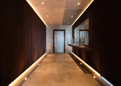 Modern, well-lit hallway with decorative elements