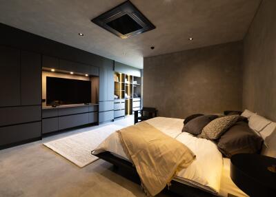 Modern and spacious bedroom