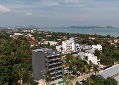 Aerial view of a neighborhood with buildings and a distant coastline