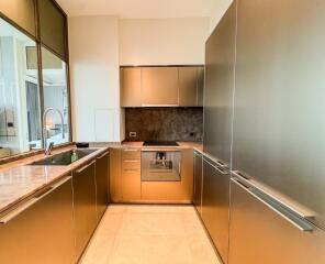 Modern Kitchen with sleek metallic cabinets and built-in appliances