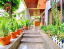 Front entrance with garden and potted plants