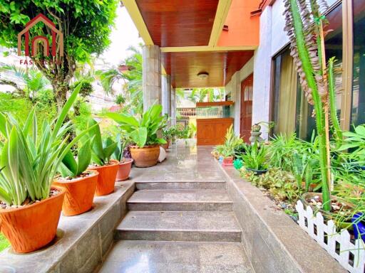 Front entrance with garden and potted plants