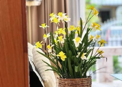 Bright living room with natural light and daffodil flower pot