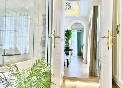 Bright hallway with plant decor and ornate doorway leading to a living area