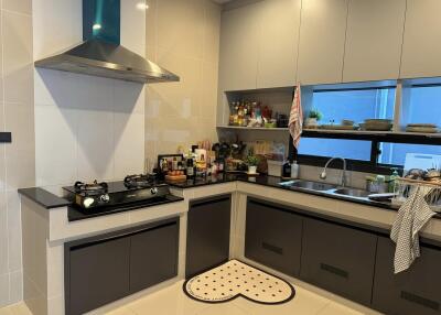 Modern kitchen with stove and sink