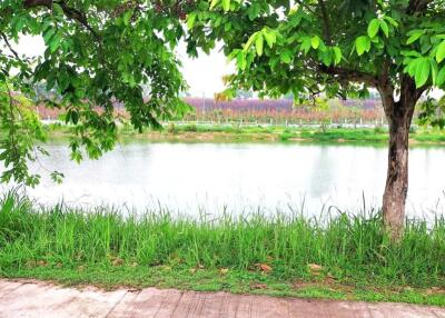 Large land plot for sale in East Pattaya