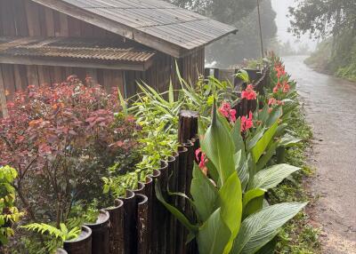 Rustic wooden house with garden and nearby road