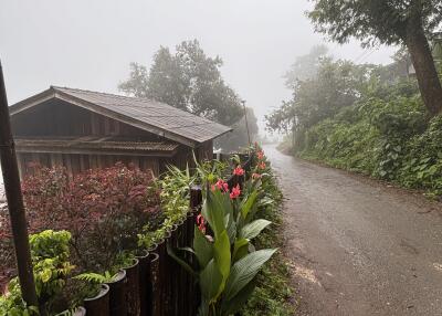 A serene country road beside wooden structures