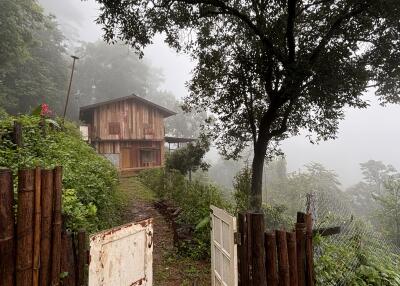 Mist-covered rustic wooden house with garden and open gate