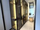 Modern walk-in wardrobe with glass doors