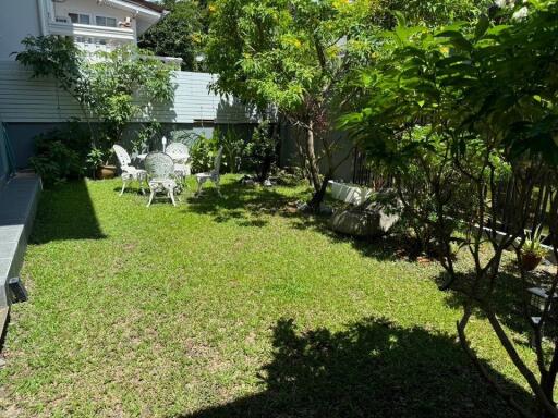 Beautiful garden with outdoor furniture and greenery