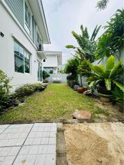 View of backyard garden area