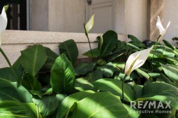 Garden with peace lilies and lush green foliage