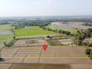 Aerial view of expansive farmland with surrounding greenery