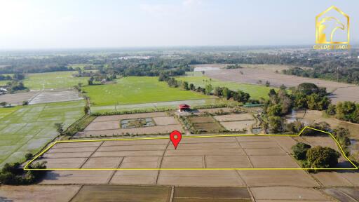 Aerial view of expansive farmland with surrounding greenery