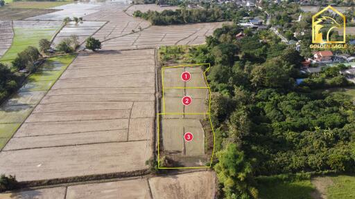 Aerial view of land plots marked for sale