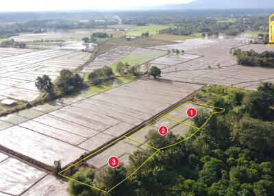 Aerial view of agricultural land