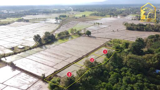 Aerial view of agricultural land