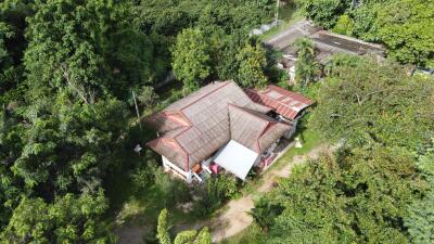 Aerial view of a house surrounded by lush greenery