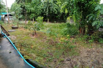 Image of a backyard with lush greenery and some saplings