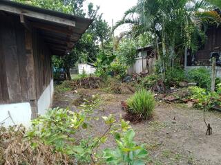 Backyard with lush greenery and trees