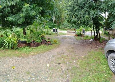 front yard with gravel driveway and greenery