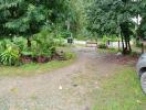 front yard with gravel driveway and greenery