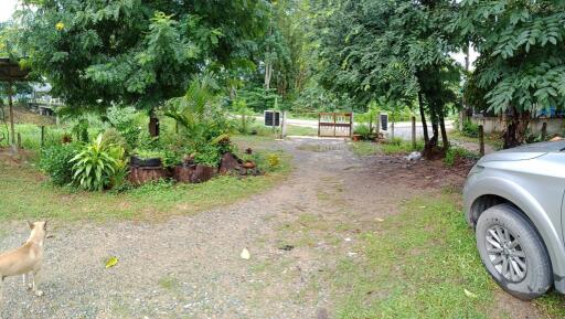 front yard with gravel driveway and greenery