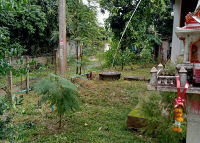 View of garden area