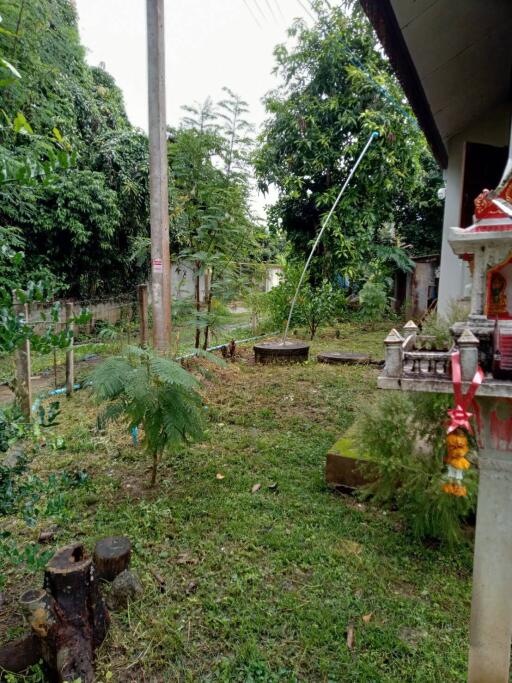 View of garden area