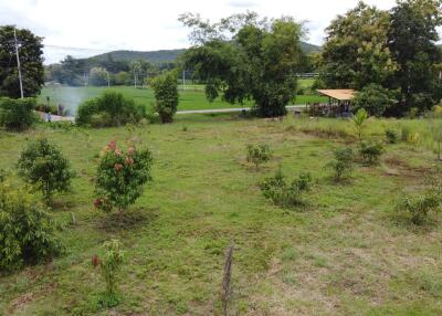 Spacious outdoor area with young trees