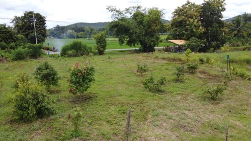 Spacious outdoor area with young trees