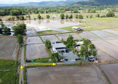 Aerial view of rural property with rice fields