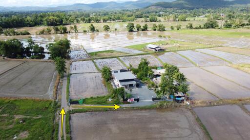 Aerial view of rural property with rice fields