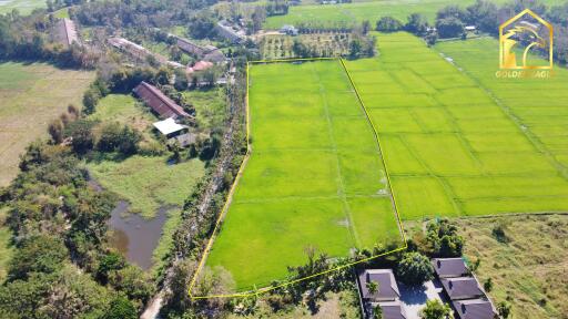 Aerial view of expansive green fields bordered by trees and buildings