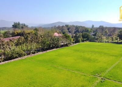 Aerial view of a large green field with surrounding trees and distant mountains