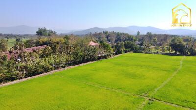 Aerial view of a large green field with surrounding trees and distant mountains