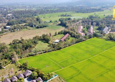 Aerial view of green farmland