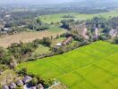 Aerial view of green farmland