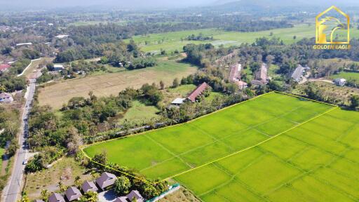 Aerial view of green farmland