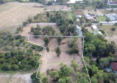 Aerial view of a plot of land surrounded by vegetation