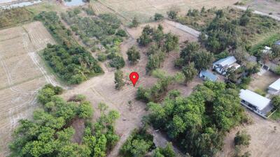 Aerial view of a large plot of land with surrounding trees