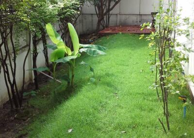 A lush, green garden with various plants and shrubs