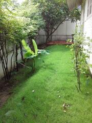 A lush, green garden with various plants and shrubs