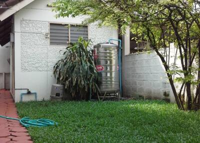 Backyard with greenery, a small annex building, and a water tank