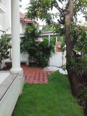 Outdoor garden area with greenery and tiled patio